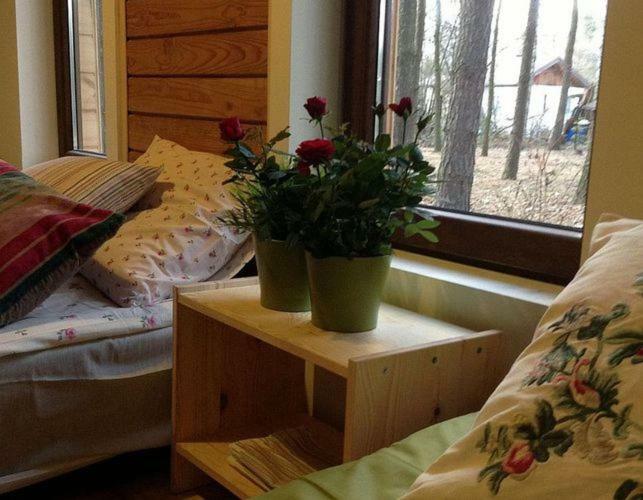 Przystanek Zofiowka Hotel Тушен Екстериор снимка